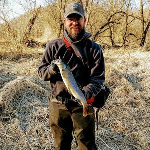 Meet your Posher, Nathan